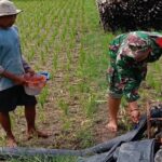 Jaga Tersedia Air, Babinsa Kendalrejo Mendampingi Pengaliran Pompa Air Pok Tani Sari Murni