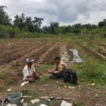 Bhabinkamtibmas Polsek Stabat Polres Langkat Mendukung Petani Lokal, Sambangi Lahan Pertanian di Desa Pantai Gemi
