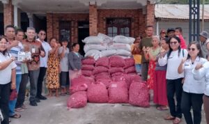 Bank Sumut Bersama Dinas Ketapang dan Pertanian Samosir Menyalurkan Bibit Bawang Merah Bantuan Dana CSR