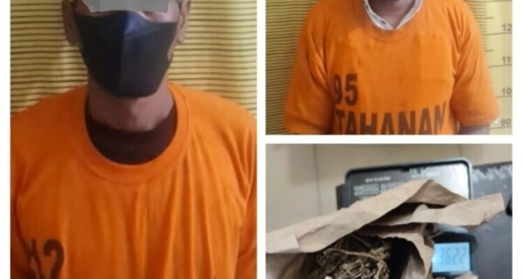 Dua Pria Diduga Pengedar Narkoba Ditangkap Polsek Binjai Kota Polres Binjai